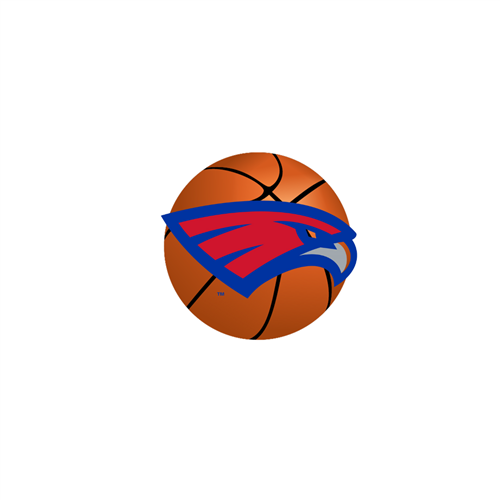 HAWK CLASSIC